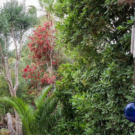 Homey Suite In Zichron Yaakov Zikhron Ya'akov Εξωτερικό φωτογραφία