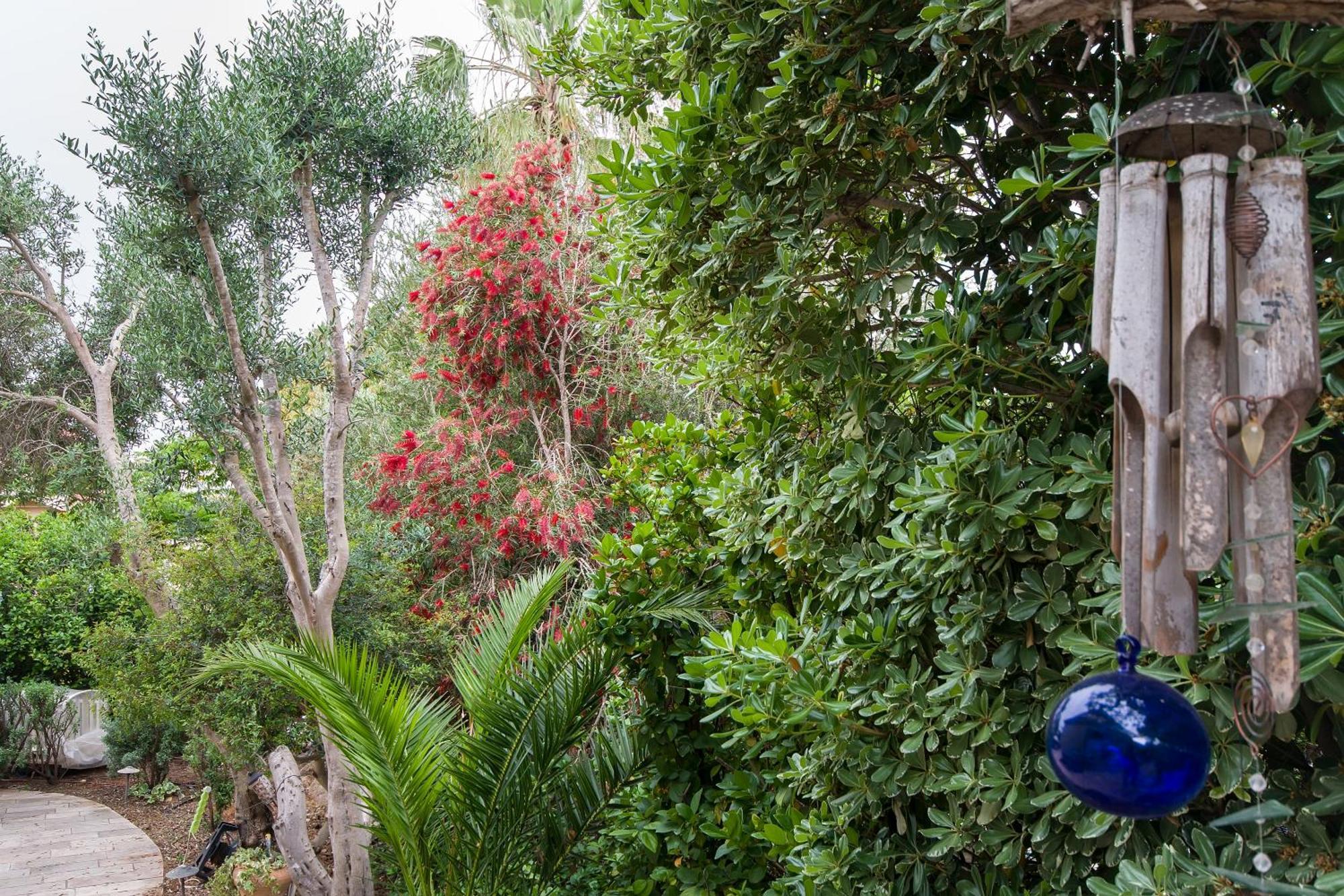 Homey Suite In Zichron Yaakov Zikhron Ya'akov Εξωτερικό φωτογραφία